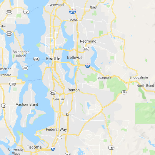 seattlemap-5c717c76cb68b