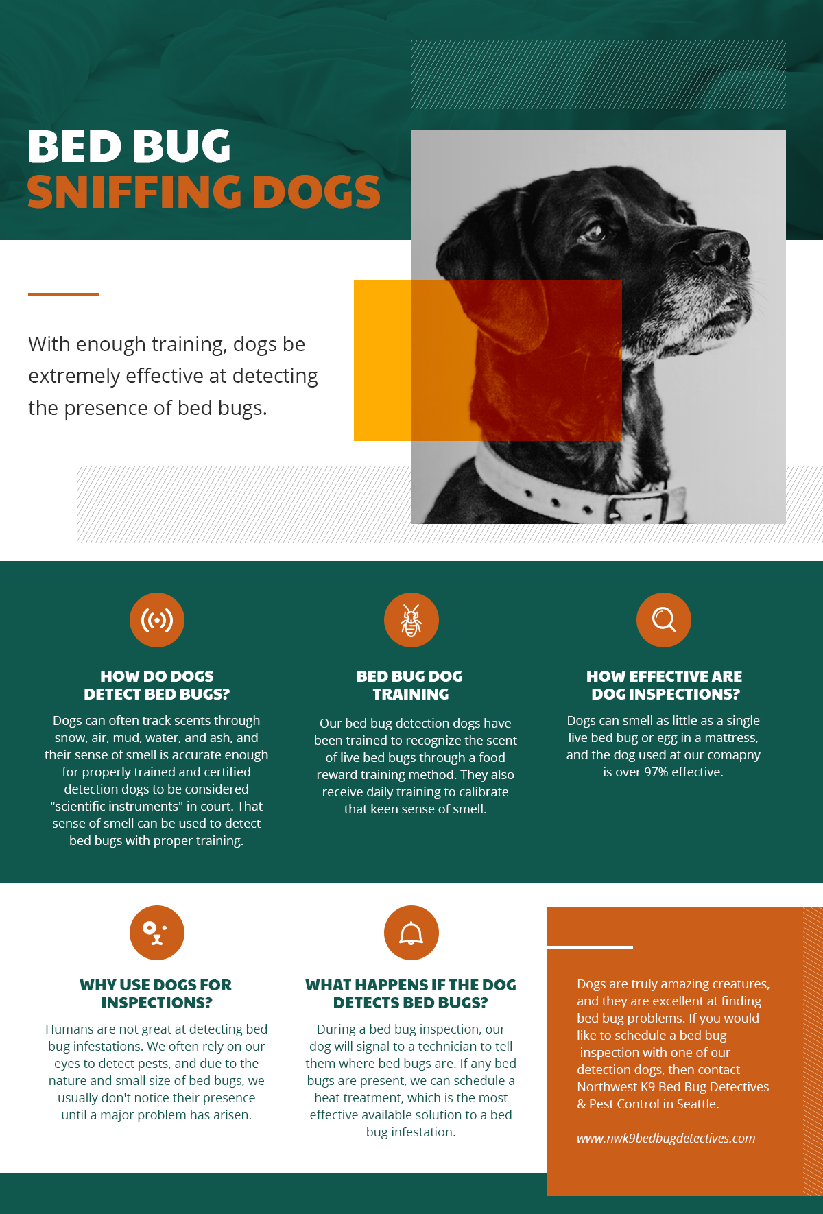 an infographic explaining the benefits of using bed bug detection dogs