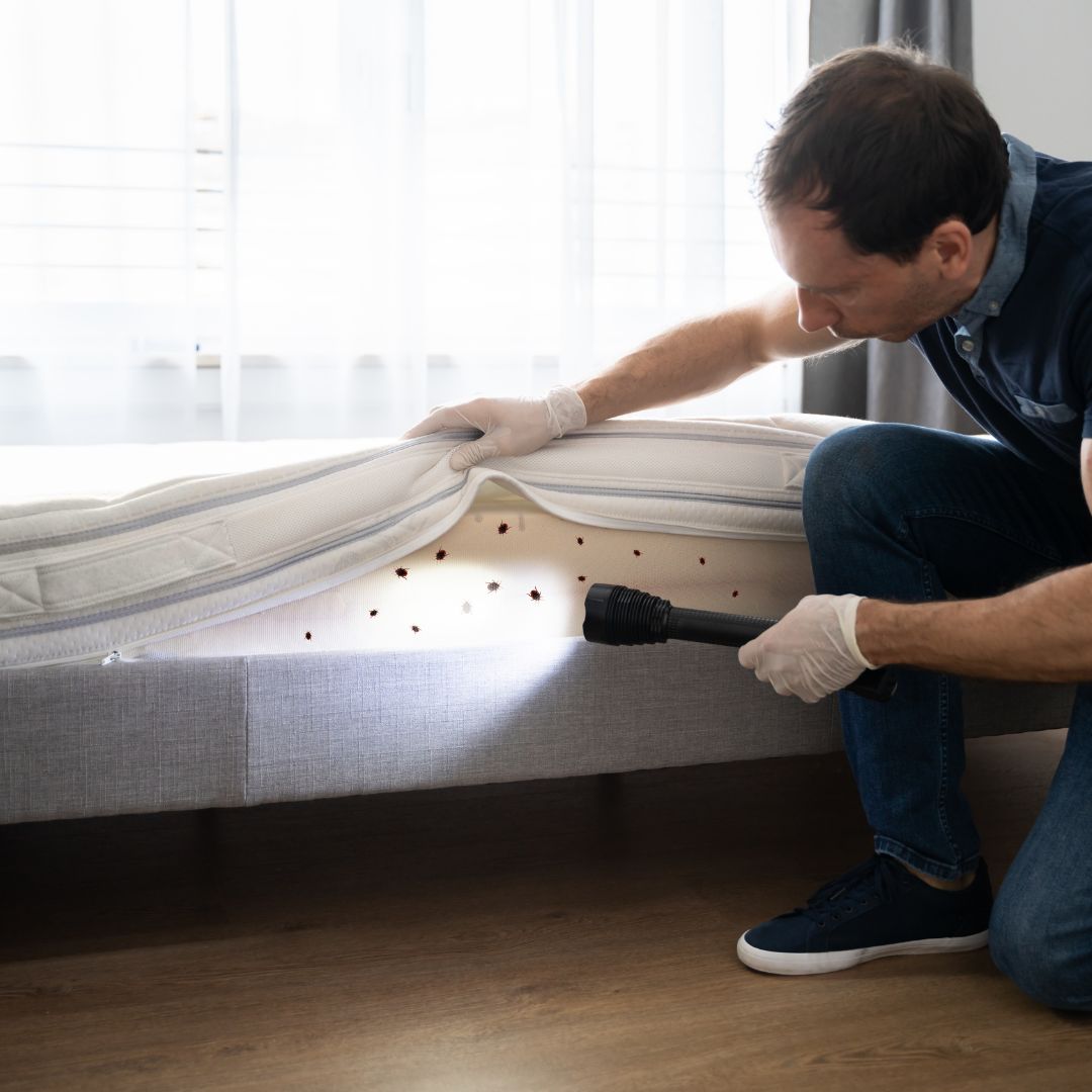 man lifting up bedsheets