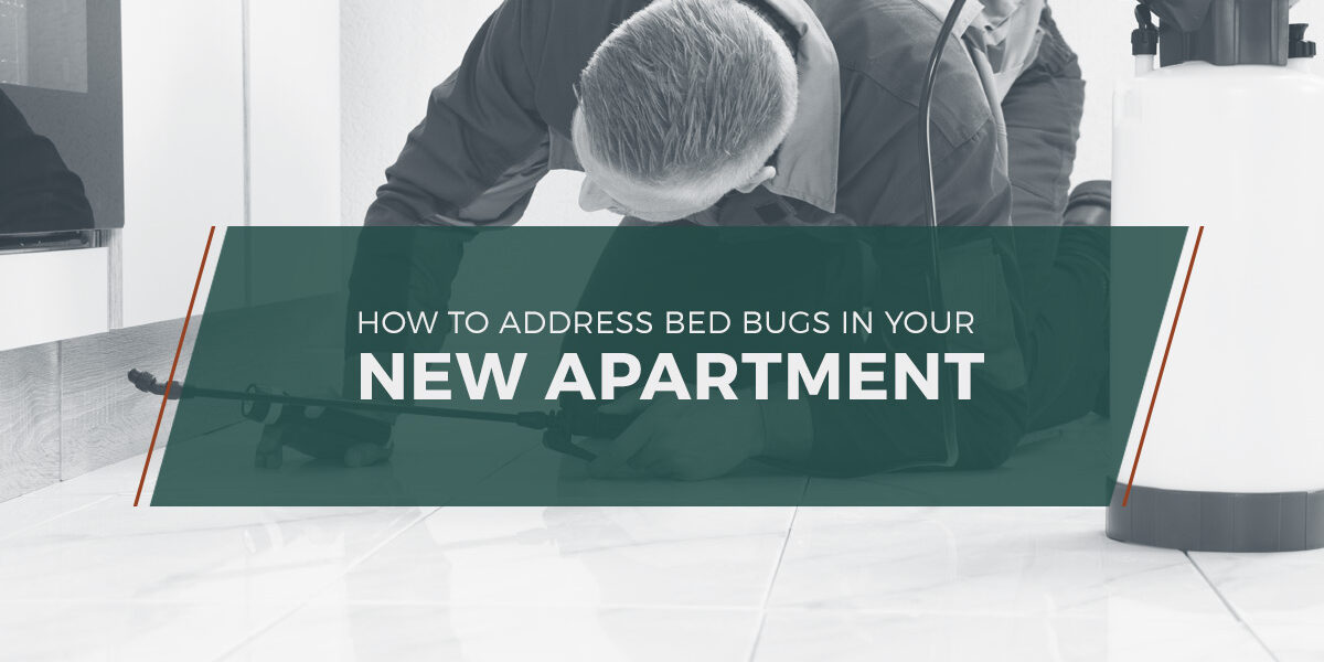 NWk9-Bug-Detective-Blog-BedBugs-NewAppt-5baaafbe80ab8